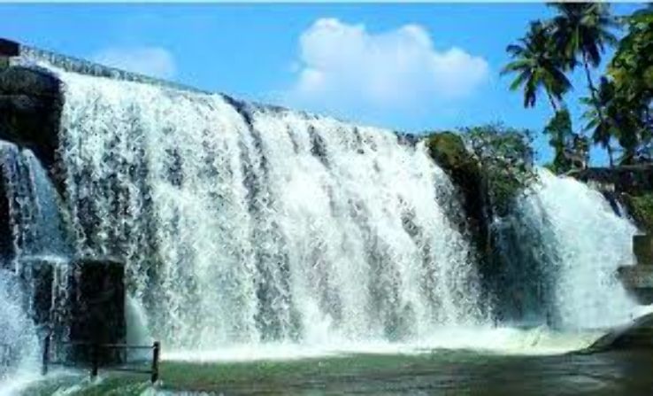 Thiruparappu Falls