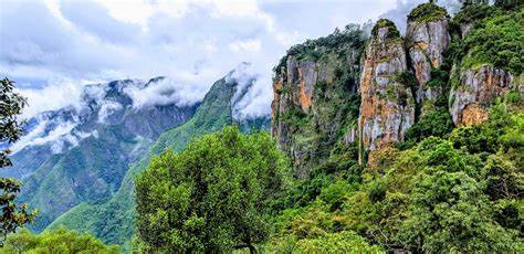 Kodaikanal